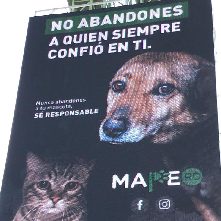 RobertoFulcar's tweet photo. Por ellos, nuestros queridos animalitos, hemos creado la Cátedra Ciudadana Amor y Respeto por los Animales, para educar sobre sus derechos y la conducta que nos corresponde asumir ante ellos.
Ciudadano, no abandones a quien siempre confió en tí !. https://t.co/KSJZwhbOol