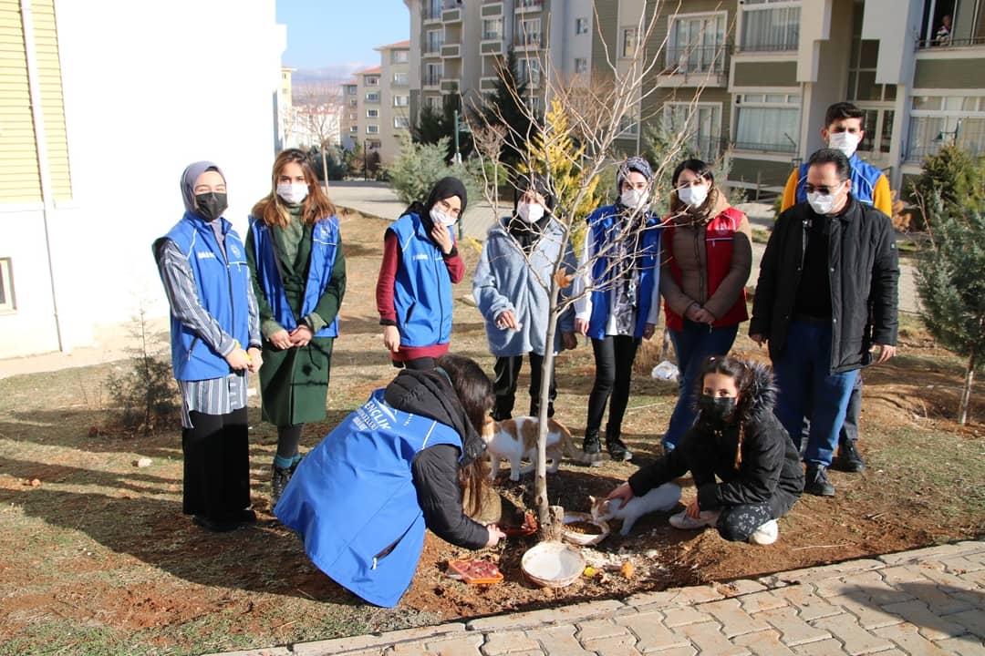 KirsehirGM's tweet photo. Kış ayının gelmesiyle bizler de gençlerimizle doğadaki🦉🐿️🐇 dostlarımız için farklı noktalara yiyecek bıraktık. Hayvan dostlarımızın yanındayız.  #GönüllülükYılı #GençlerinİyilikAğacı

@kasapoglu https://t.co/fLI1oTk1ZA