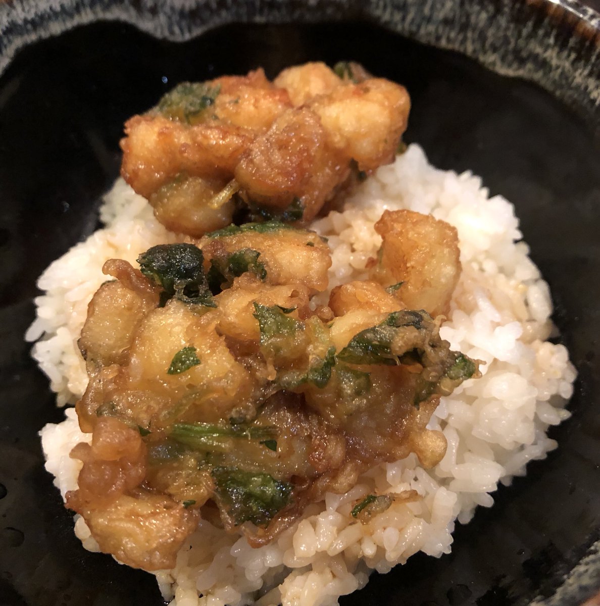 アコヤ貝の貝柱 アコヤ貝の貝柱