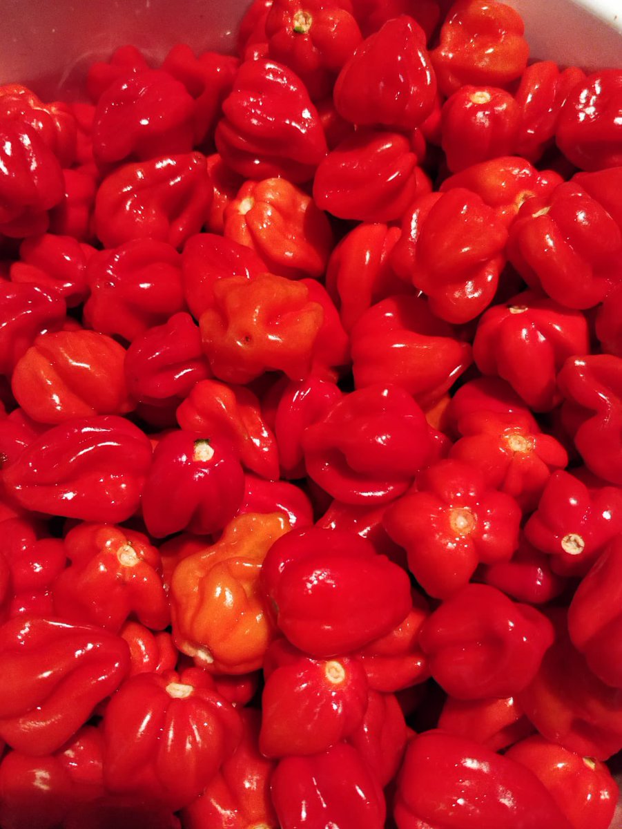 Andy Noonan tweet media