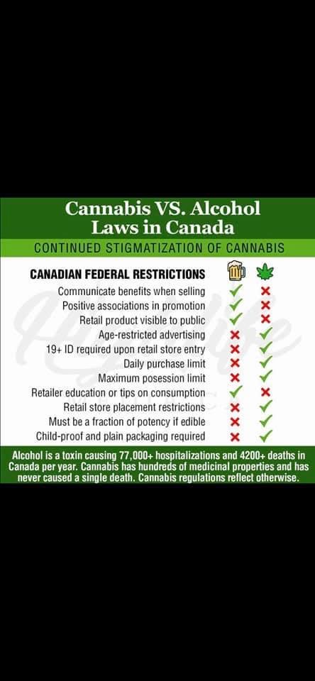 🇨🇦 📍Michael Elkin📍🇨🇦 tweet media