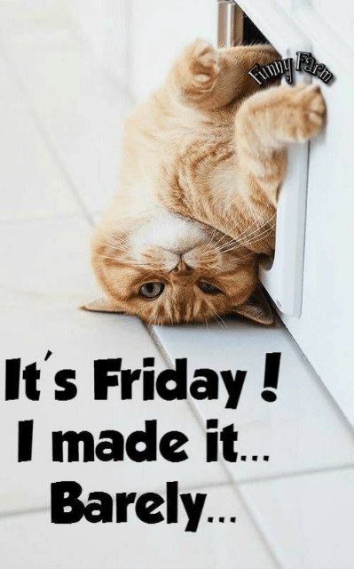 authorJHanks's tweet photo. Have a great weekend🥳 https://t.co/LErf6HF8Br