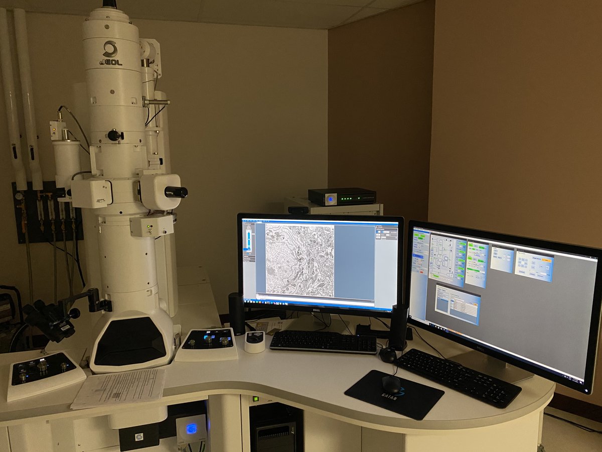 Electron Microscopy at uOttawaMed tweet media