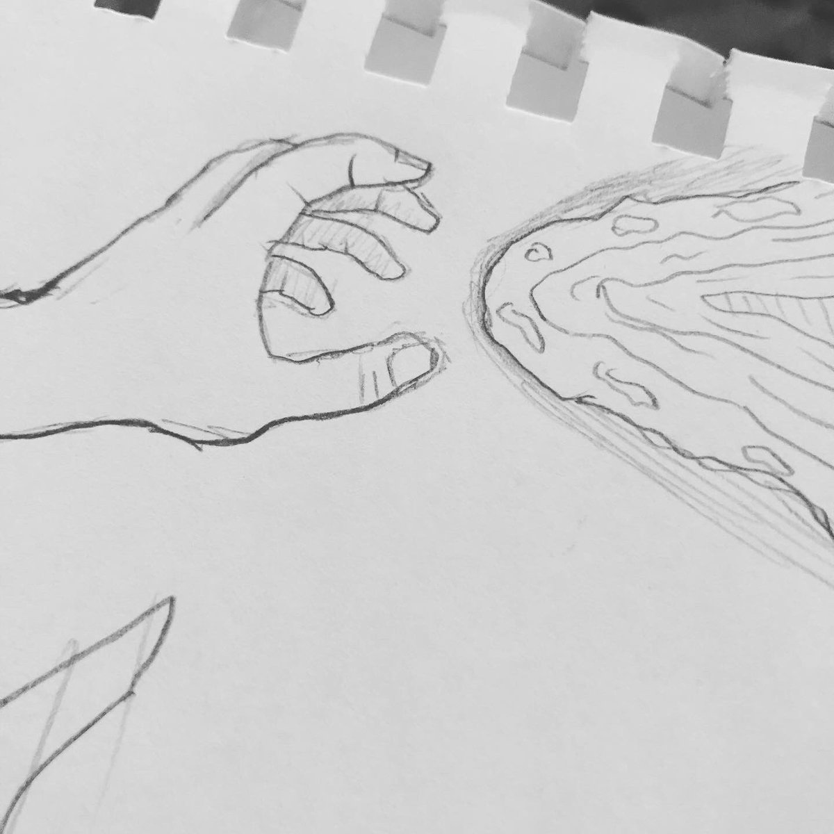 Gabriel Platt tweet media