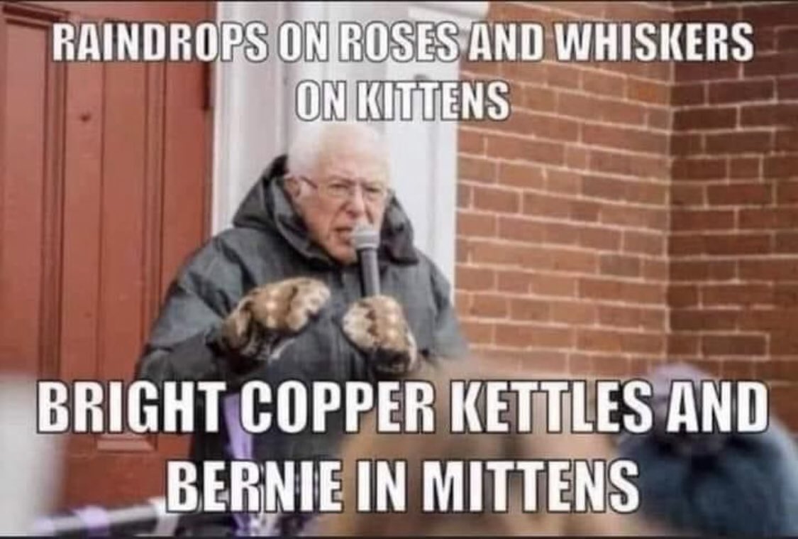 wise_kristen's tweet photo. Time for a daily dose of Bernie ❤️🧤 #berniesMittens #FeelTheBern #smittenwiththemitten https://t.co/qYZhDVYTwb