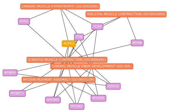AviMaayan's tweet photo. The #PrismExp method developed by @MaayanLab member @alexlachmann https://t.co/tohRNRqs9H was used to predict gene functions and PPIs for understudied @DruggableGenome GPCRs, kinases, and ion channels. Try it with the #PrismExp #Appyter https://t.co/eITE5cRdCy @IcahnInstitute https://t.co/Eped3NuCrx
