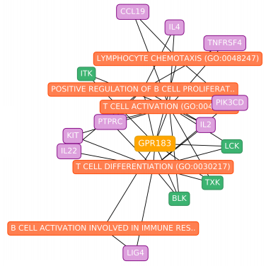 AviMaayan's tweet photo. The #PrismExp method developed by @MaayanLab member @alexlachmann https://t.co/tohRNRqs9H was used to predict gene functions and PPIs for understudied @DruggableGenome GPCRs, kinases, and ion channels. Try it with the #PrismExp #Appyter https://t.co/eITE5cRdCy @IcahnInstitute https://t.co/Eped3NuCrx