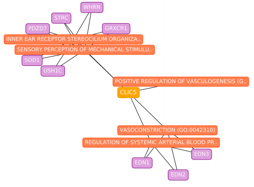 AviMaayan's tweet photo. The #PrismExp method developed by @MaayanLab member @alexlachmann https://t.co/tohRNRqs9H was used to predict gene functions and PPIs for understudied @DruggableGenome GPCRs, kinases, and ion channels. Try it with the #PrismExp #Appyter https://t.co/eITE5cRdCy @IcahnInstitute https://t.co/Eped3NuCrx