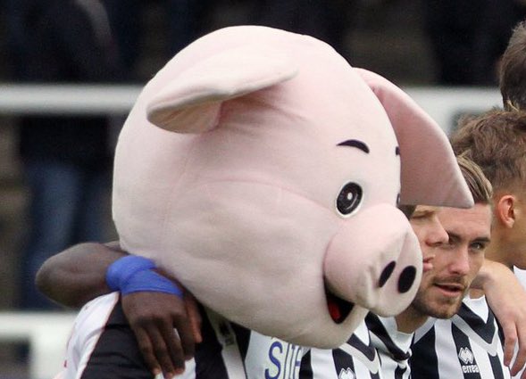 Mascots Minute Silence tweet media