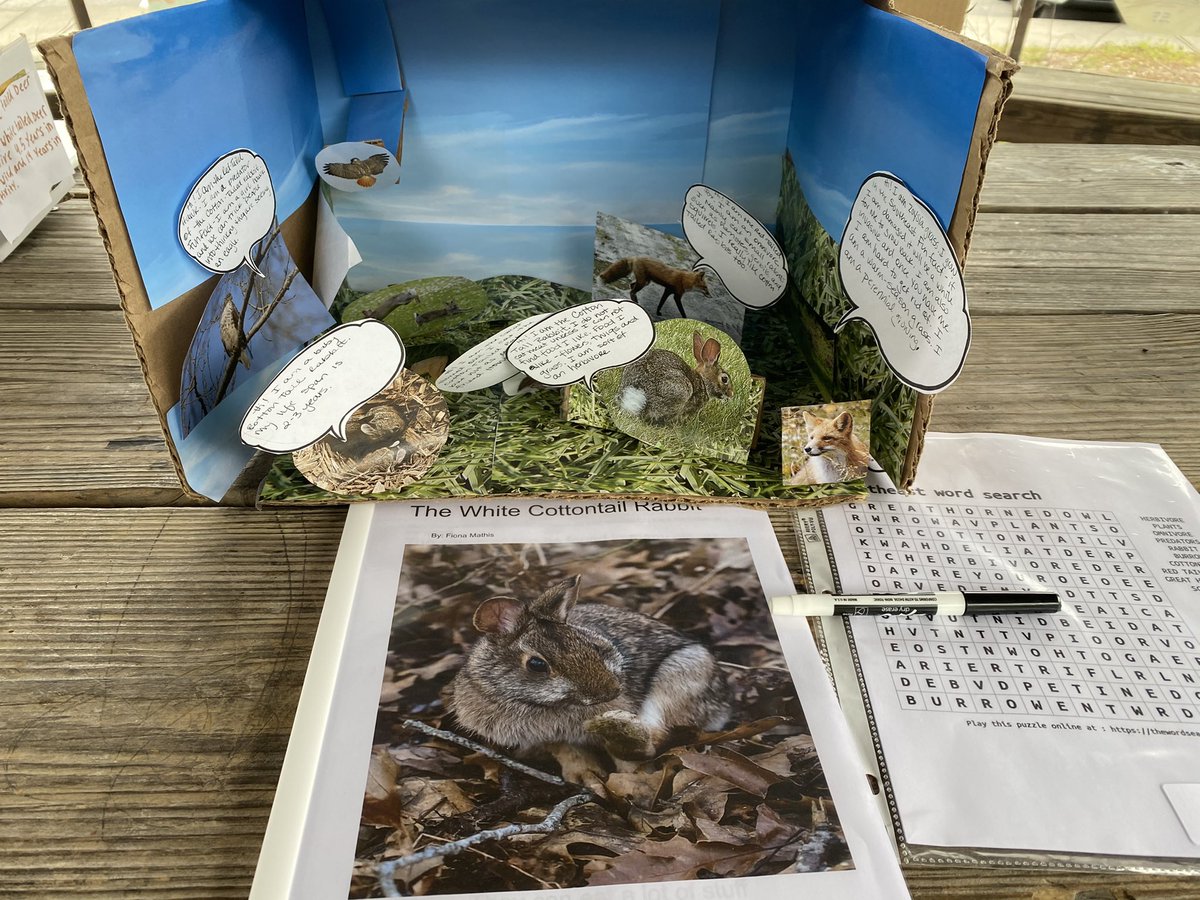 TeacherCorrie's tweet photo. @FSW_FriendsSchl  5th Ss NC Ecosystems projects viewing. Great work learning about local habitats #mobilemuseum https://t.co/FSf97DcGt0