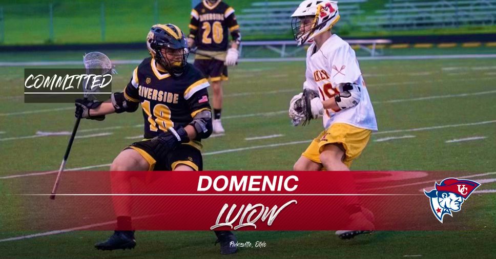 Dom Lulow tweet media