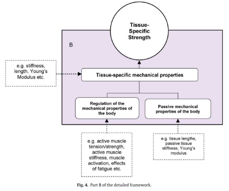 Need to consider structure-specific load......in reference to structure-specific properties and capacitiesStructure-specific loading, properties and capacities vary over time and adapt with exposureAdaptation may be positive (protective) or negative (maladaptation)