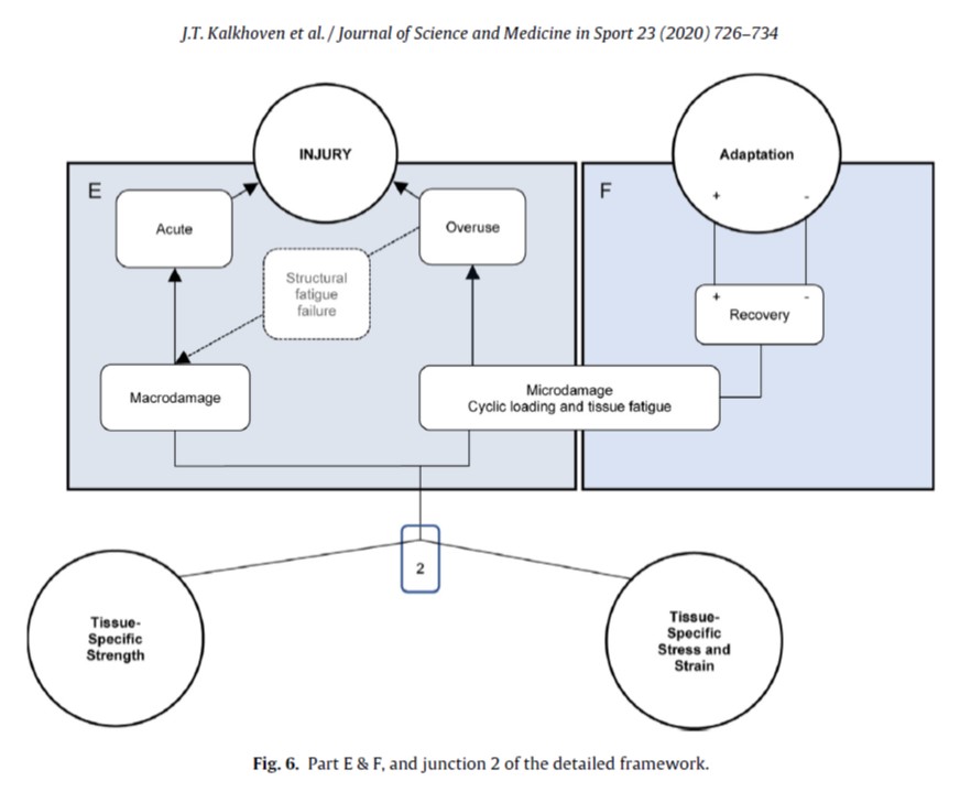 Need to consider structure-specific load......in reference to structure-specific properties and capacitiesStructure-specific loading, properties and capacities vary over time and adapt with exposureAdaptation may be positive (protective) or negative (maladaptation)