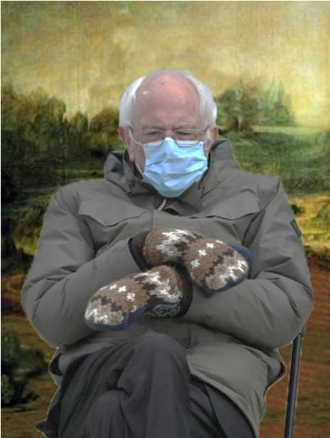 It's the smile. #Davinci #BernieSanders #BernieSandersMittens #arthistory