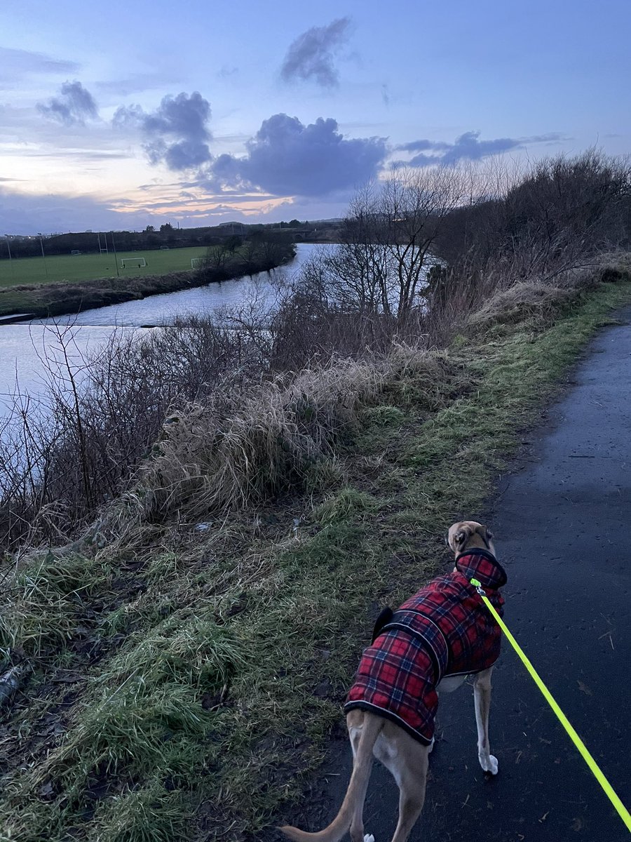JosieWhippet's tweet image. Out walkies with mother 💛felt like cindy Crawford walking that path like a runway with my new jacket oan. #Winterwatch
