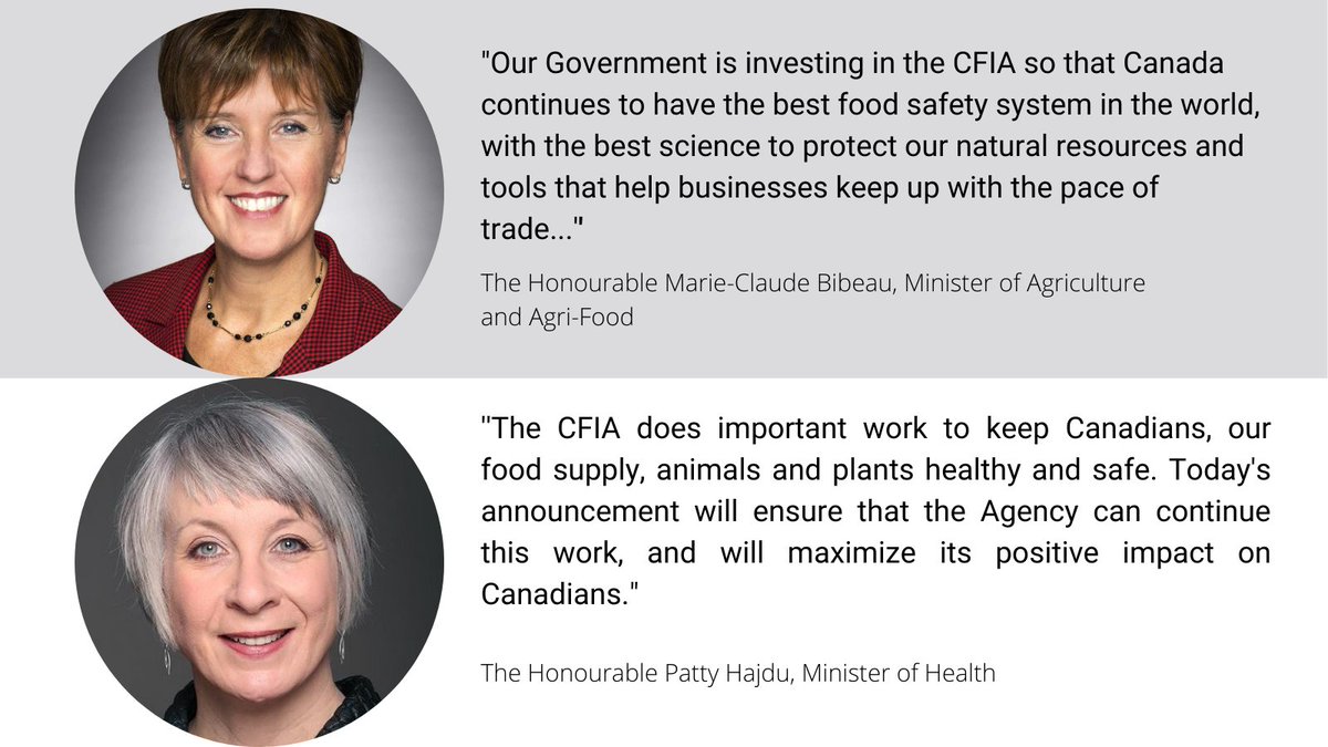 mclaudebibeau's tweet photo. Today, I announced an investment of $162.6M to @InspectionCan to :
๐ help modernize & strengthen our food safety system
๐ protect the health of our plants๐ฑ & animals ๐
๐ keep up with the pace of trade as we aim for $75B in food exports by 2025
https://t.co/JHQP2IIvkS
#CdnAg https://t.co/S6FDas7N3d