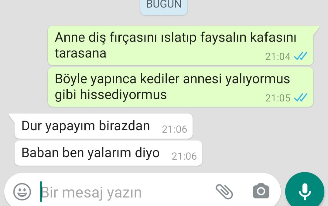 Babam: Kedi eve gelirse ben bu evden giderim
Yine babam:
