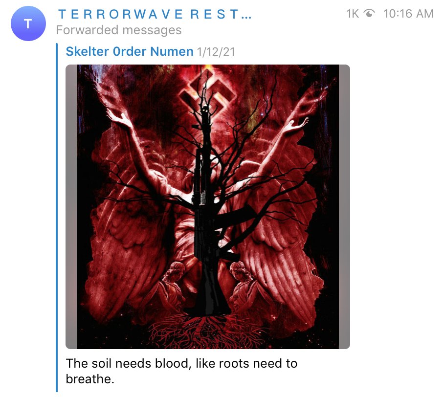 The thing about the "we shouldn't use the term terrorism to talk about the far right" is that fascists not only embrace this term but played a big role in developing its modern contours (vis-à-vis, "the strategy of tension"). The fascists call it "Terrorgram" for a reason.