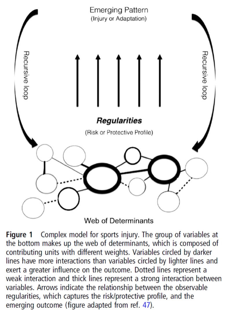Athlete = complex, adaptive system with a mind attachedTaking a complex systems approach accounts for feedback loops, non-linearity, uncertainty, etc.Risk, protective factors, injury events = 'emergent phenomena''Web of determinants' include psych factors and sport
