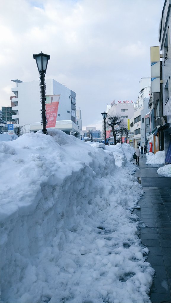 青森市除雪 Twitter Search Twitter