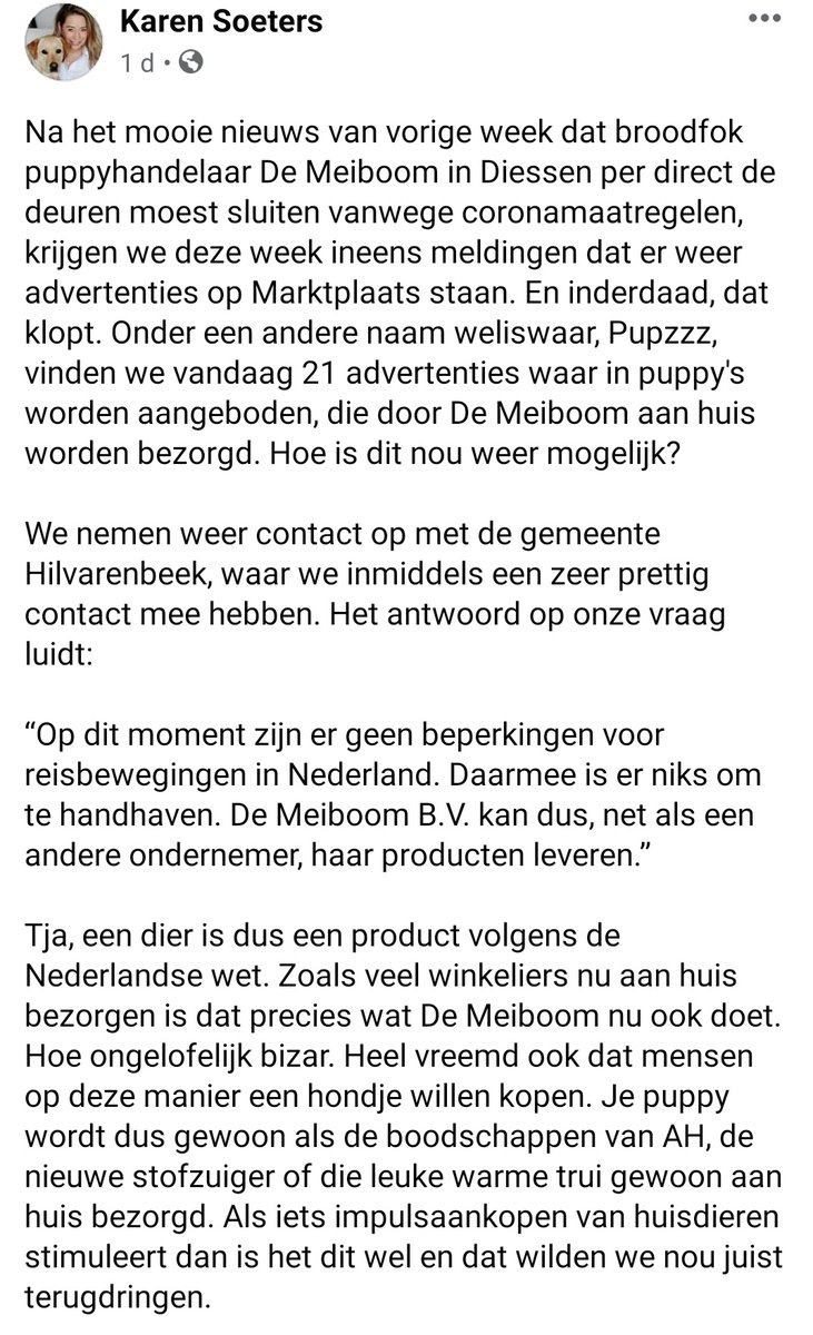 DeRavissante's tweet image. De pups worden gewoon bij u thuis gebracht!! Makkelijker kan niet. Doen!! 🤬🤬🤬🤬🤬