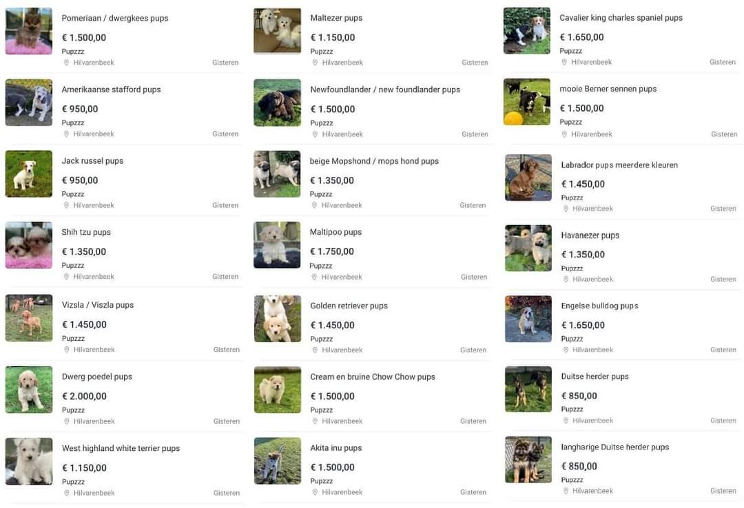 DeRavissante's tweet image. De pups worden gewoon bij u thuis gebracht!! Makkelijker kan niet. Doen!! 🤬🤬🤬🤬🤬