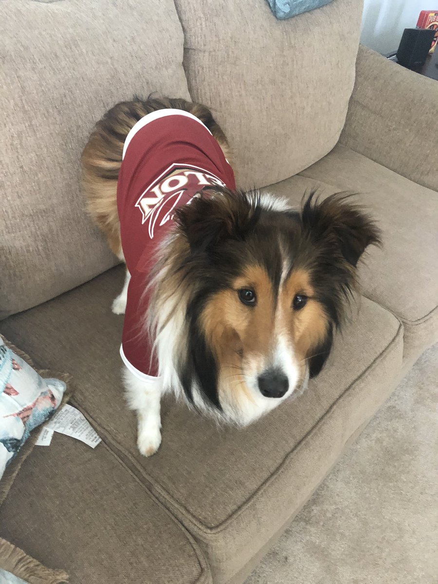 elon_79's tweet photo. @ElonConnieBook @ElonPhoenix @elonuniversity Phoenix says hello and welcome to a great University!!! https://t.co/y8VVWvWGjs