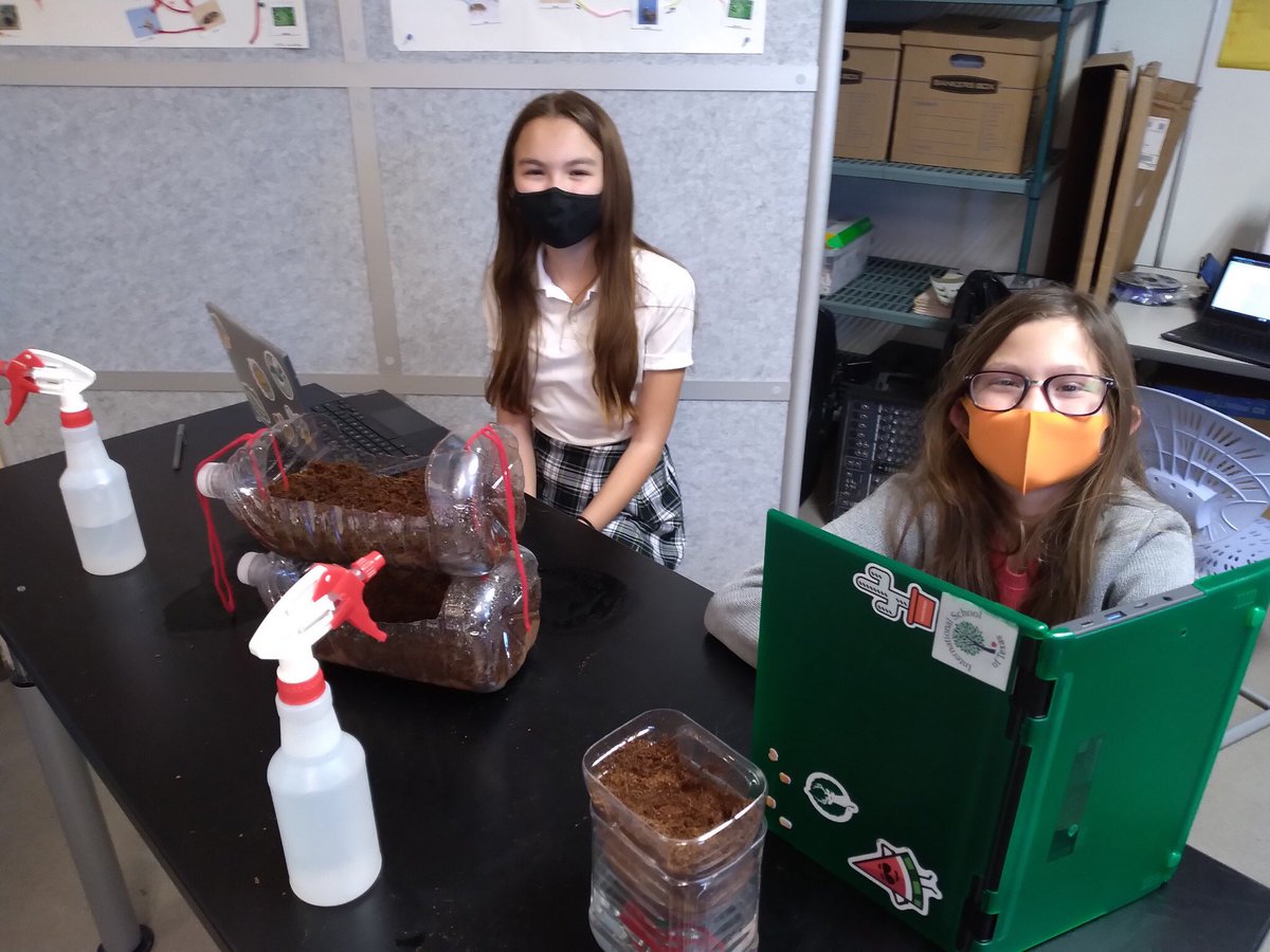 IST_PYP's tweet photo. @ibmyp students at the International School of Texas took advantage of our #MLKDay2021 day of service by kicking off their long-term entrepreneur salsa project. I love seeing our students applying learning into meaningful projects! @iborganization https://t.co/4XizAGkNyq