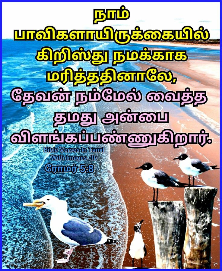 mohandavid10's tweet photo. https://t.co/b3YQHuIq1Y