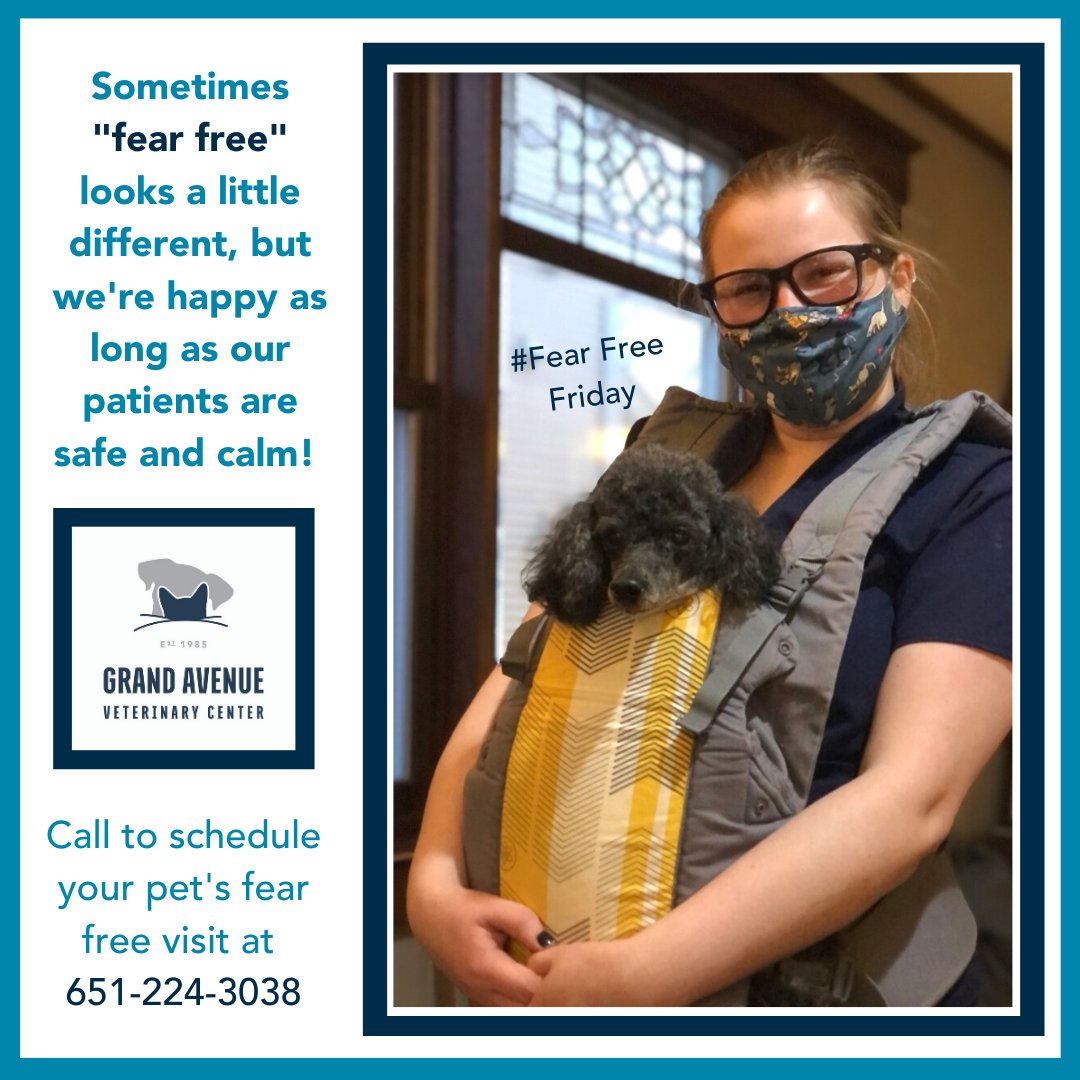 grandavevet's tweet photo. #FearFreeFriday
@fearfreepets training is a huge part of our environment, and it benefits not only your pet, but our staff as well, who can enjoy a closer relationship with patients who are happy to be here! π₯°
#grandavevet #fearfree #fearfreepractice #fearfreeforlife https://t.co/Co8vVwLPSC