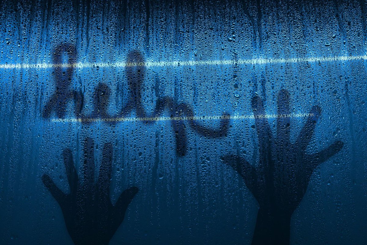 Container Team tweet media