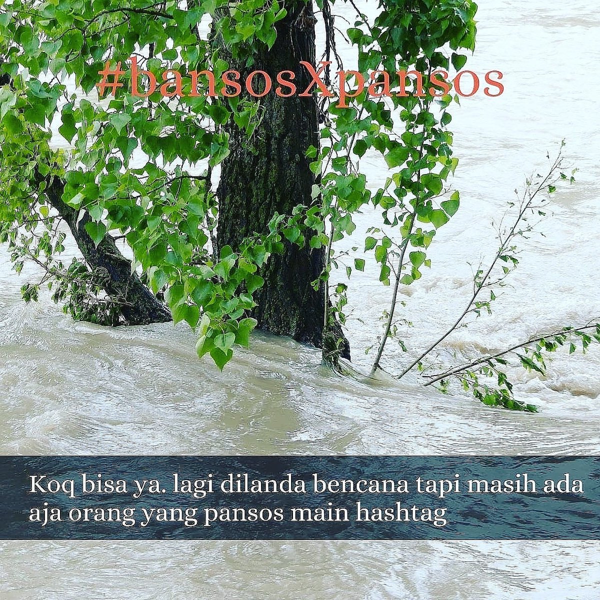 Halimah23986902's tweet photo. #bansosXpansos
Menolong korban bencana itu baik. Ikhlas demi Allah. Bukan cari perhatian #bansosXpansos https://t.co/iWJHAh7FsX