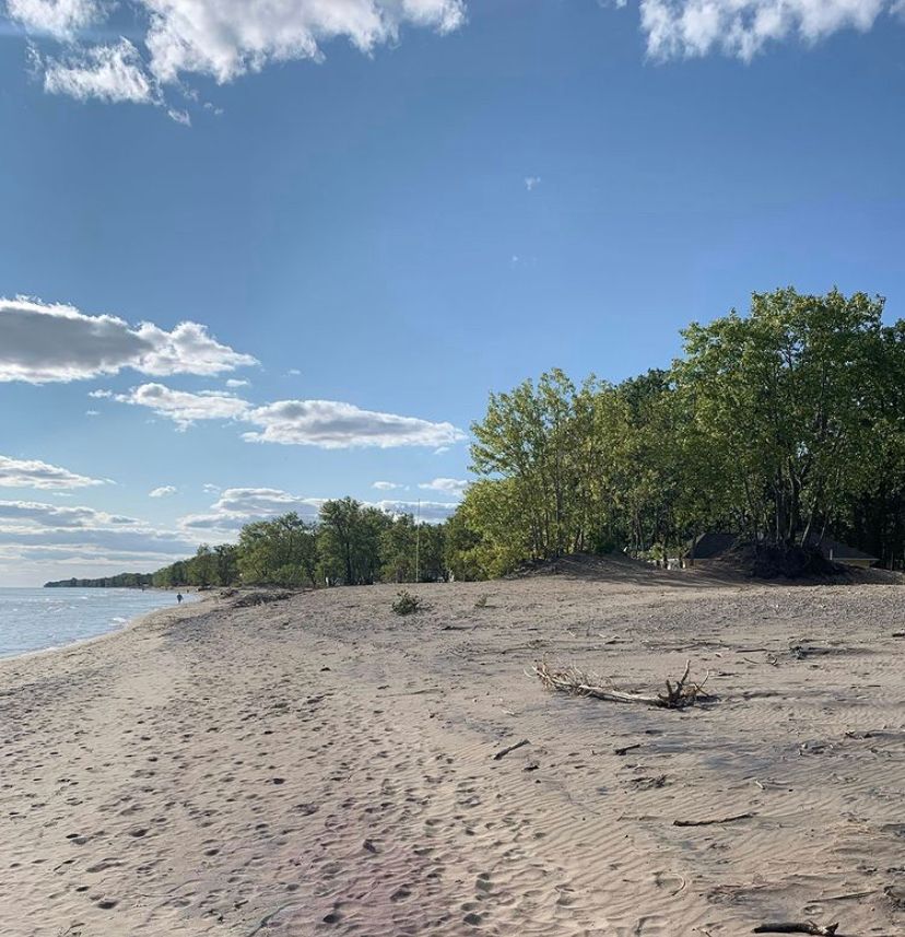 LPWBR's tweet photo. This #flashbackfriday deserves repeating! A photo taken at #longpointbeach submitted by John Everett, and another photo taken last summer.
Quite the resemblance! #thenandnow
📷1: John Everett
📷2: Amanda Houze
•
•
•
#longpoint #nature #naturephotography #beaches #fbf https://t.co/q5x8jKcFFF