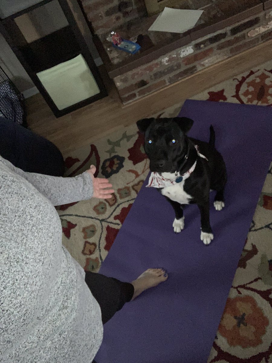 Sharing the mat with this girl today! #servicesstrong #namasteyall #espaconference #pitsonyoga #pitbullsoftwitter