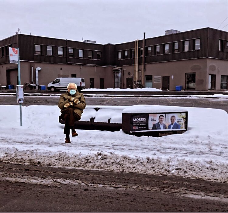 Waiting on the 51 bus like....#Berniememes #ottawa #morrishometeam