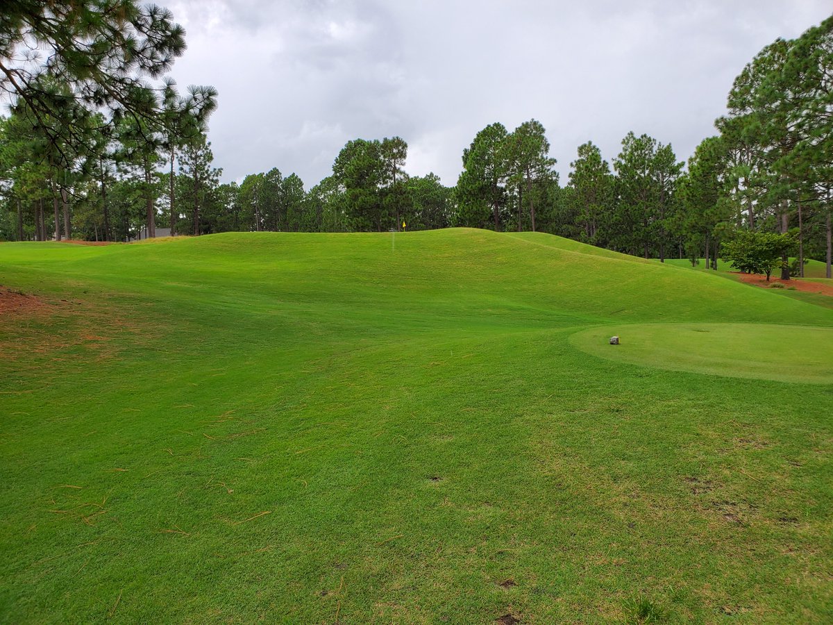 The New Course at Talamore in Southern Pines is a smart Rees Jones renovation that moves up, down, left, and right, puts bunkers where they are in the way, and paired with greens of every shape, size, and contour. Doesn't feel like the Sandhills, but nice nonetheless18/