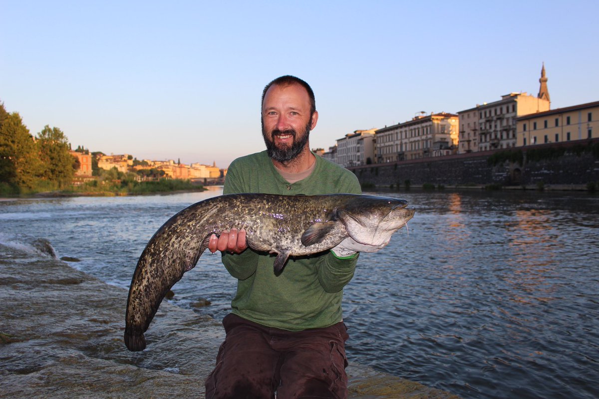 cameron_jeffrey's tweet photo. @Fishing_Clash All caught on our honeymoon in Florence Italy with a guide. We had a blast and that Wels while not big, was the hardest hitting and fighting fish I have every dealt with. The carp by my wife were her first fish bigger than 12” https://t.co/Out9L8GroE