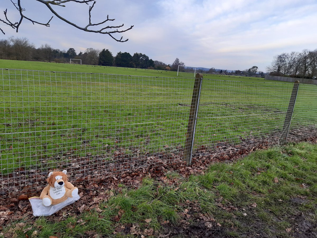 Emily Aldred tweet media