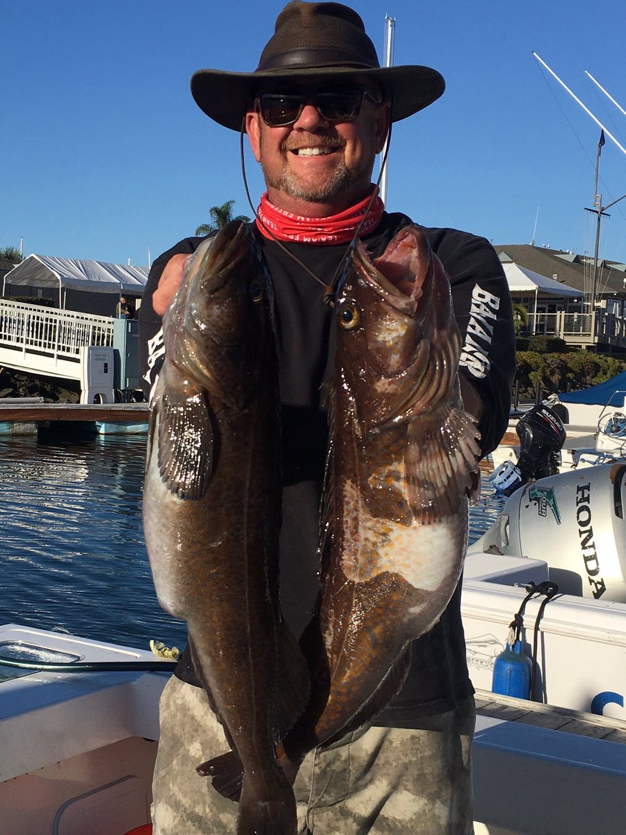 Scott Sherman tweet media