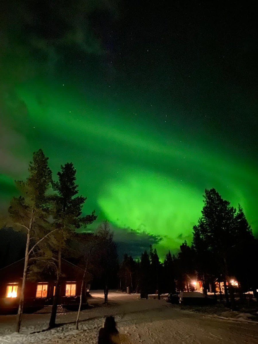 ArthurDrrx's tweet photo. ✅ 🇸🇪 https://t.co/0UtcKBKgoa