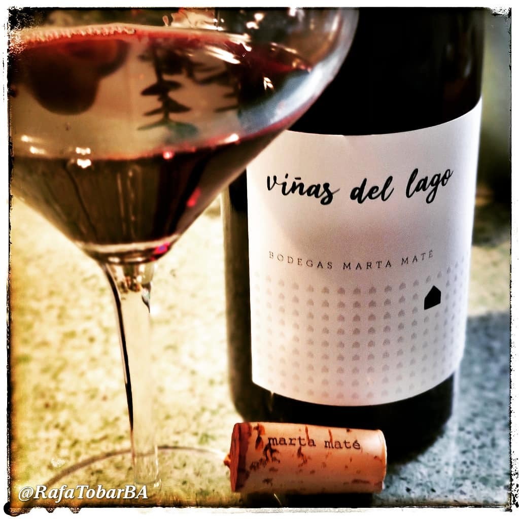 Abrimos este Viñas del Lago 2016 de @bodegasmartamate @riberadelduero @deliciasburgos 😁🍷🍷🍷🍷 #wineporn #winelovers #vin #wine #winecork #wineinfluencer #riberadelduero #enochalados #enopsicoticos #tempranillo #albillo #garnacha instagr.am/p/CKWbgo1LwCQ/