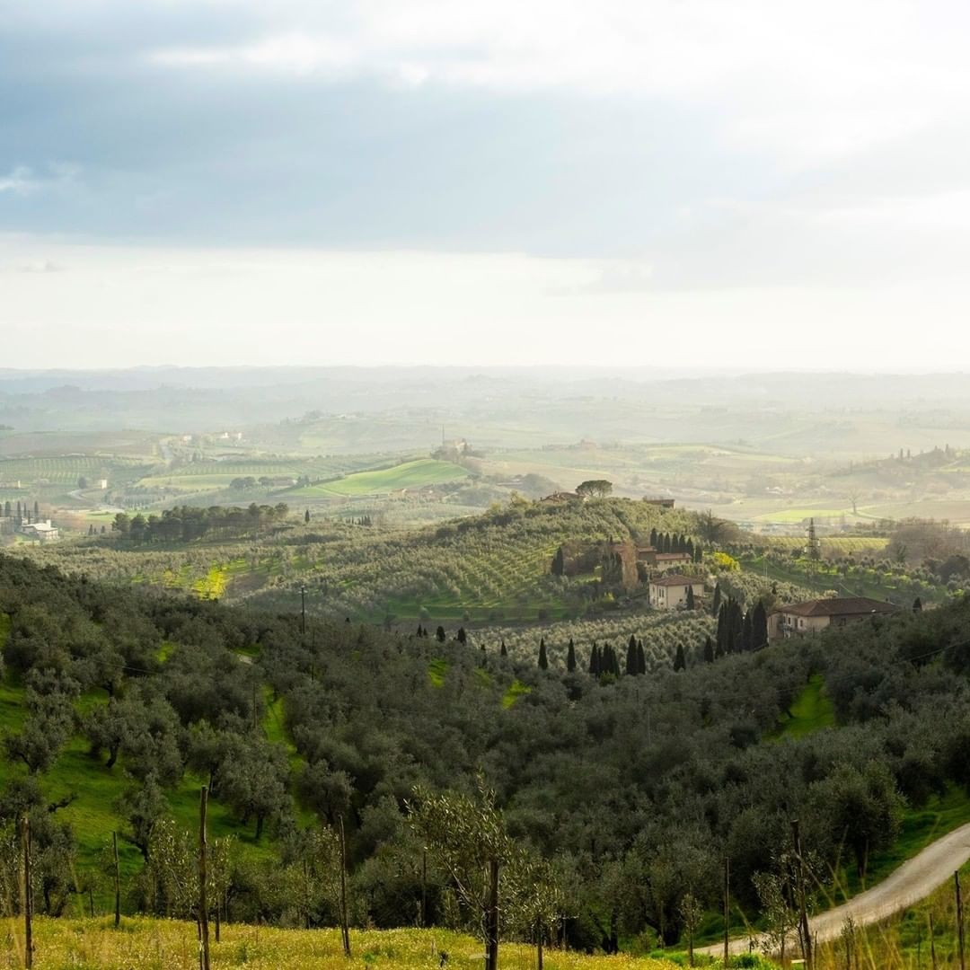 feelflorenceoff's tweet photo. Leonardo da Vinci's sweet hills.
📷 @ToscananelCuore 
@VisitTuscany #toscananelcuore https://t.co/6mdjVXZ2u1