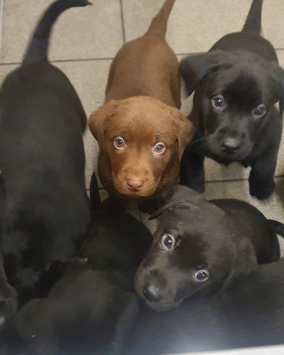 Tom Wright tweet media