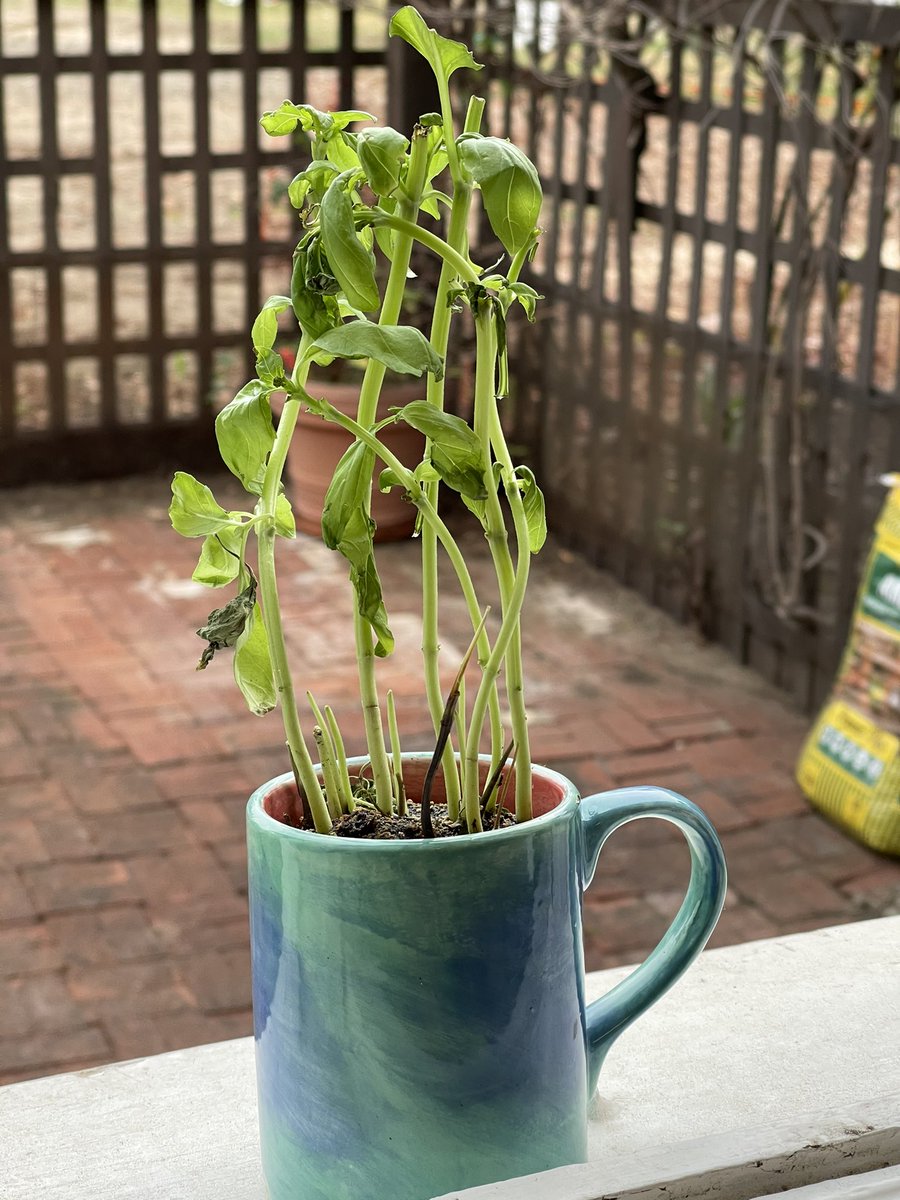 Casey Neistat tweet media