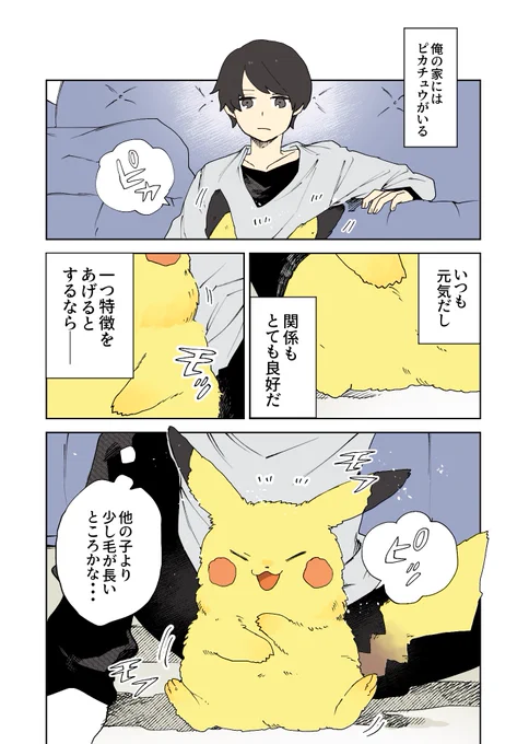 毛がモコモコなピカチュウ 