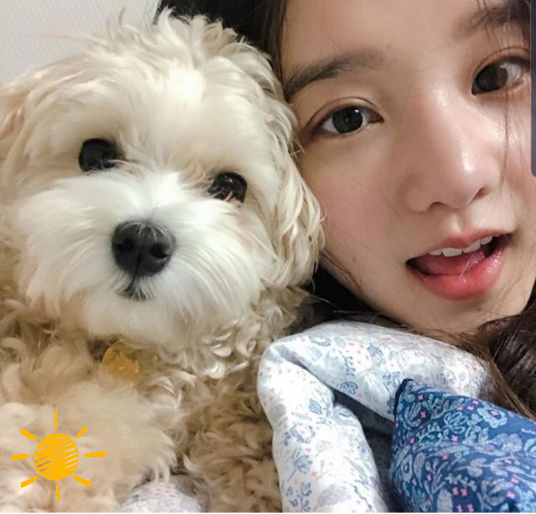 _moonamu's tweet photo. 정연이 사진 지인 분이 주셔서 공유해요...
#박정연 https://t.co/Ma5sBxAOtr