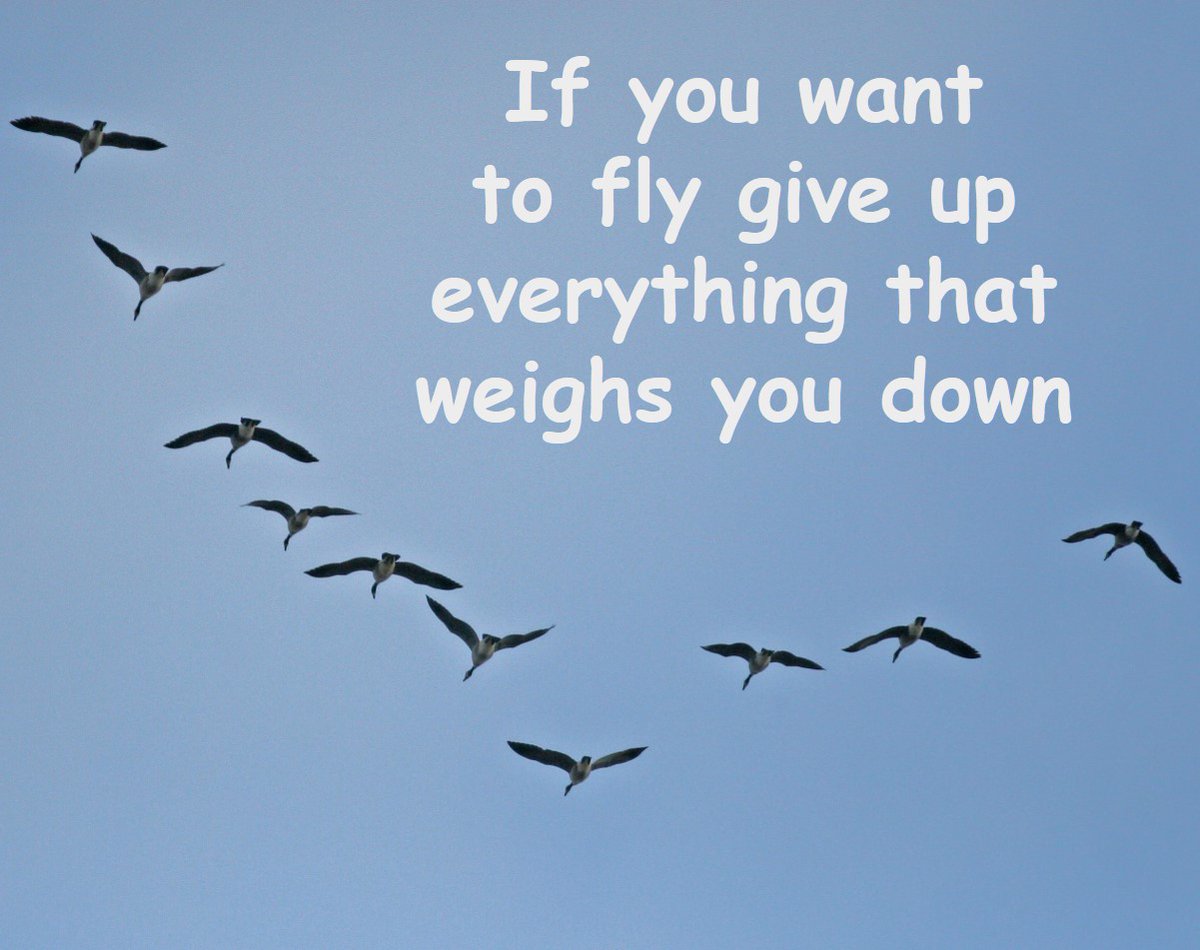 BBR_Recruitment's tweet photo. #positiveweek #positivevibes #motivationalweek #motivationalquotes #mondaymotivation #positivity # inspirational #uplifting #jobs https://t.co/nJC4OYYnAV