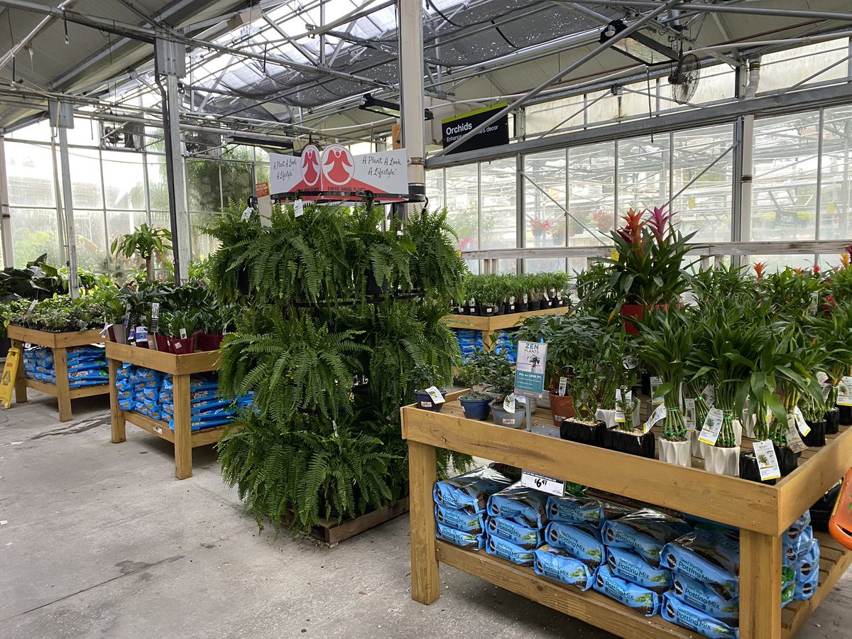 GregWilley4's tweet photo. HD 275 Orange Park Florida looks good well merchandised https://t.co/qOethdmkC9