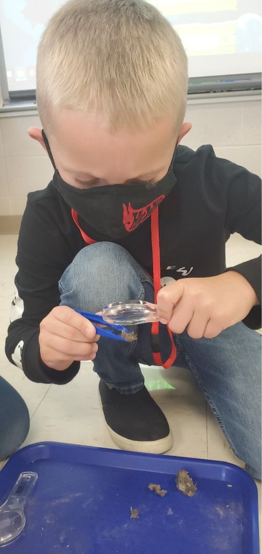 HMENixa's tweet photo. Mrs. Morrow's #1stgraders at @HMENixa dissected owl pellets. They found bones from other creatures hiding inside. #iteach1st #inquiry #littlescientists @nixaschools #hmeleads https://t.co/83sg1q0MkO
