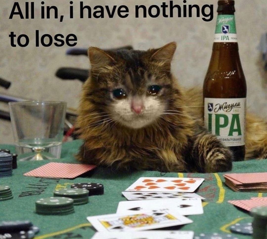 Lisa-Marie Fassl tweet media